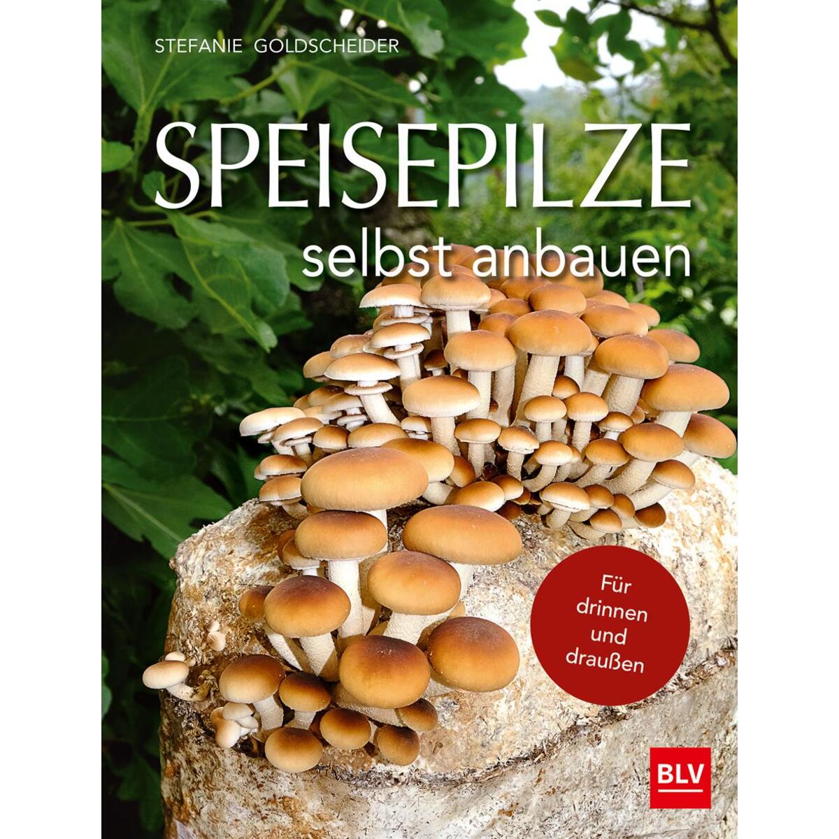 Speisepilze selbst anbauen Speisepilze selbst anbauen von Blv