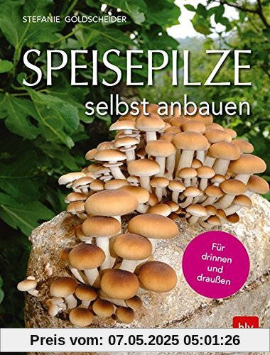 Speisepilze selbst anbauen: Für drinnen und draußen Speisepilze selbst anbauen: Für drinnen und draußen