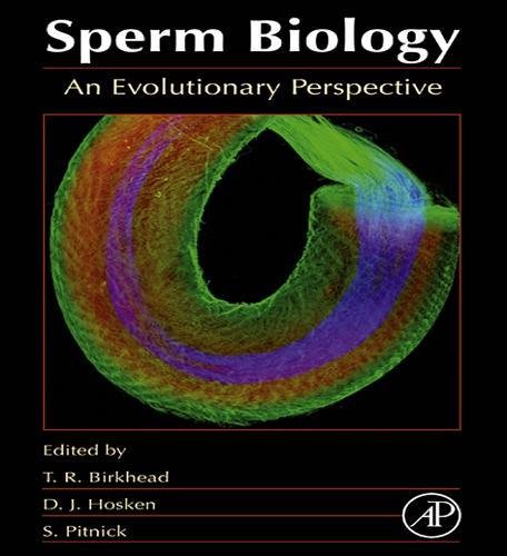 Sperm Biology: An Evolutionary Perspective von Academic Press