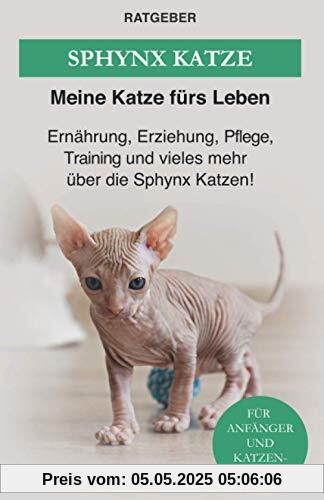 Sphynx Katze: Ernährung, Erziehung, Pflege, Training und vieles mehr über die Sphynx Katzen!