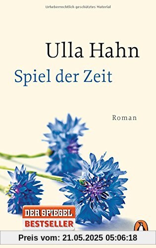 Spiel der Zeit: Roman
