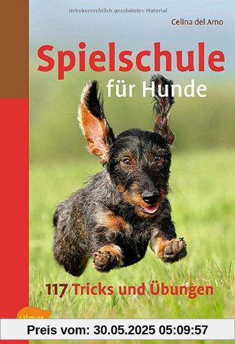 Spielschule für Hunde