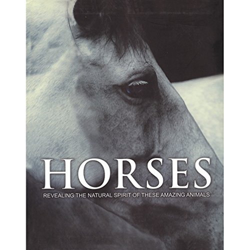 Spirit of Horses
