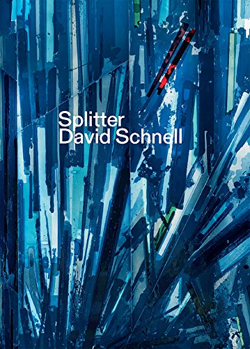 Splitter. David Schnell: Katalog zur Ausstellung in den Kunstsammlungen Chemnitz von Seemann Henschel