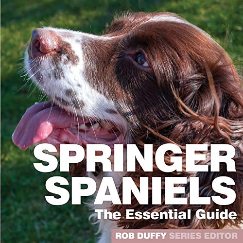 Springer Spaniels: The Essential Guide