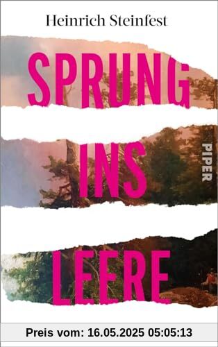 Sprung ins Leere: Roman | Der SPIEGEL-Bestseller-Autor über die Macht der Kunst und die Täuschung