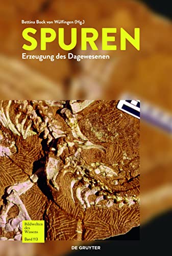 Spuren: Erzeugung des Dagewesenen (Bildwelten des Wissens)