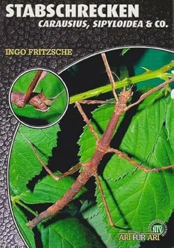 Stabschrecken: Carausius, Sipyloidea & Co. (Buchreihe Art f�r Art Terraristik)