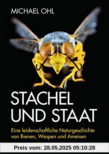 Stachel und Staat: Eine leidenschaftliche Naturgeschichte von Bienen, Wespen und Ameisen