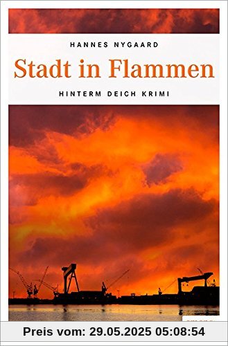 Stadt in Flammen (Hinterm Deich Krimi)