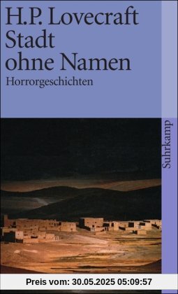 Stadt ohne Namen: Horrorgeschichten (suhrkamp taschenbuch)