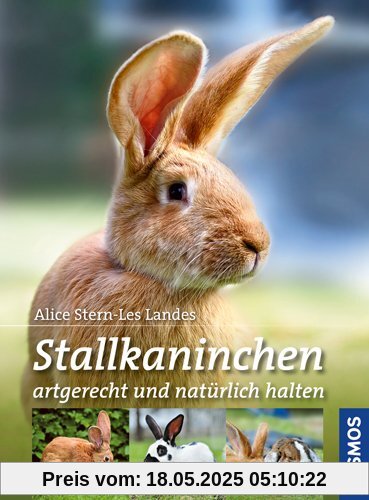 Stallkaninchen: artgerecht und natürlich halten