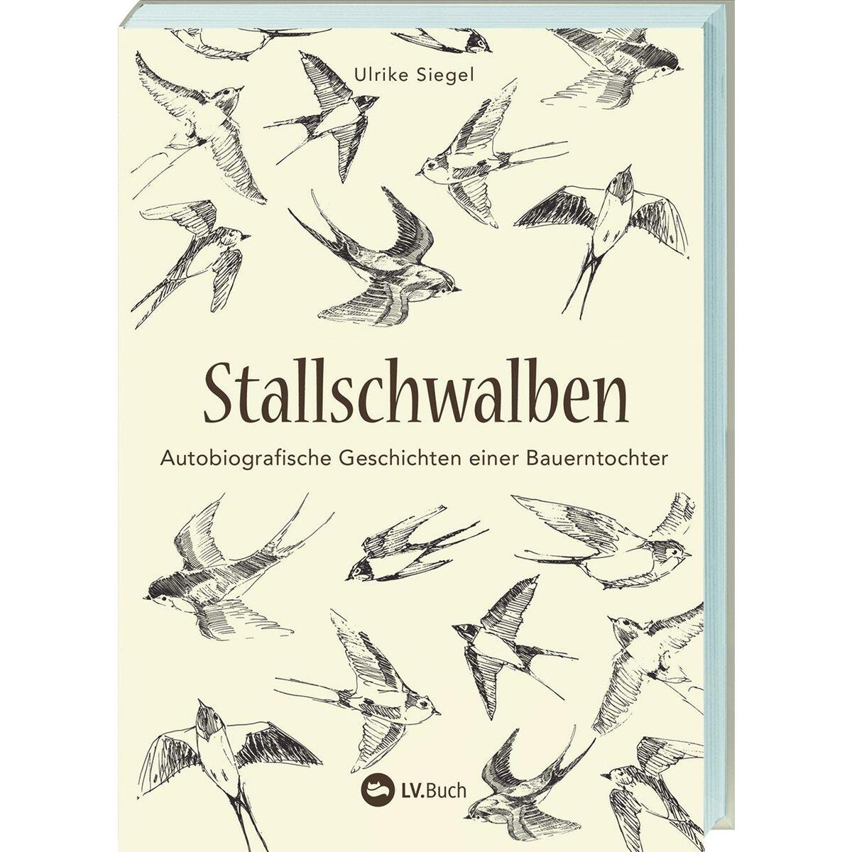 Stallschwalben Stallschwalben von Landwirtschaftsverlag
