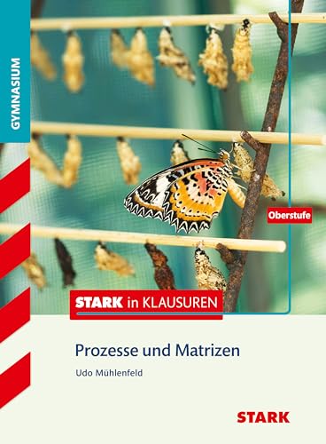 Stark in Mathematik - Prozesse und Matrizen Oberstufe von Stark Verlag GmbH