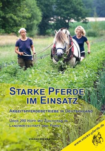 Starke Pferde im Einsatz: Arbeitspferdebetriebe in Deutschland