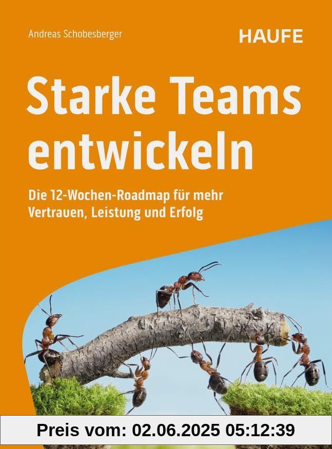 Starke Teams entwickeln: Die 12-Wochen-Roadmap für mehr Vertrauen, Leistung und Erfolg. Workshops zur Teamentwicklung, Ideen für bessere Zusammenarbeit, Tipps zur Konfliktlösung