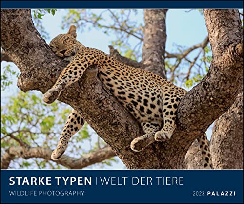 Starke Typen 2023 - Bild-Kalender - Poster-Kalender - 60x50: Wildlife Photography