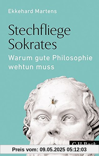 Stechfliege Sokrates: Warum gute Philosophie wehtun muss