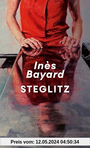 Steglitz: Roman