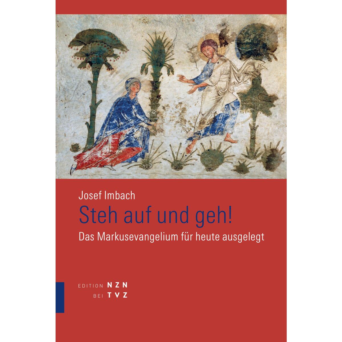 Steh auf und geh! von Theologischer Verlag Ag