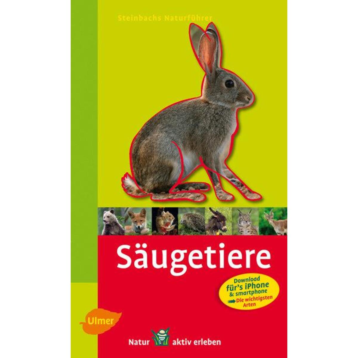 Steinbachs Naturführer Säugetiere von Ulmer Eugen Verlag