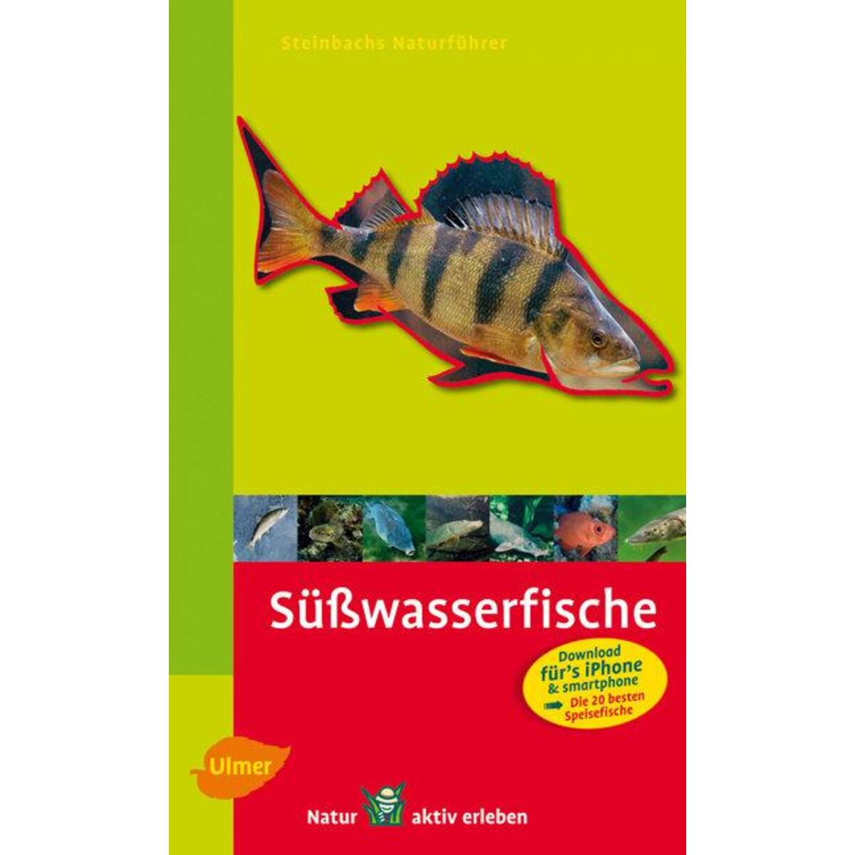 Steinbachs Naturführer Süßwasserfische von Ulmer Eugen Verlag