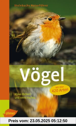 Steinbachs Naturführer Vögel: Entdecken und erkennen