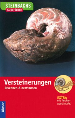 Steinbachs Naturführer. Versteinerungen von Mosaik / Verlag Eugen Ulmer