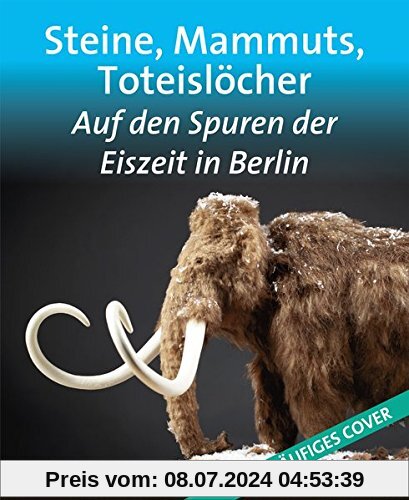 Steine, Mammuts, Toteislöcher: Auf den Spuren der Eiszeit in Berlin (Edition Stadtmuseum)
