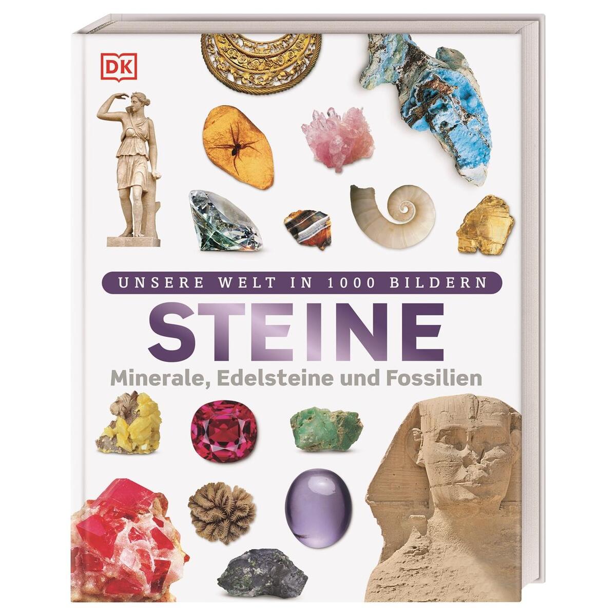 Steine Steine von Dorling Kindersley Verlag