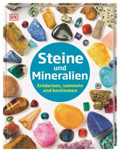Steine und Mineralien von Dorling Kindersley / Dorling Kindersley Verlag