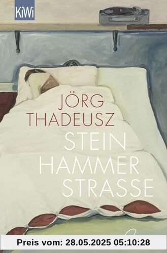 Steinhammerstraße: Roman