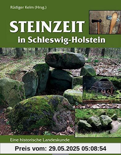 Steinzeit in Schleswig-Holstein: Eine historische Landeskunde
