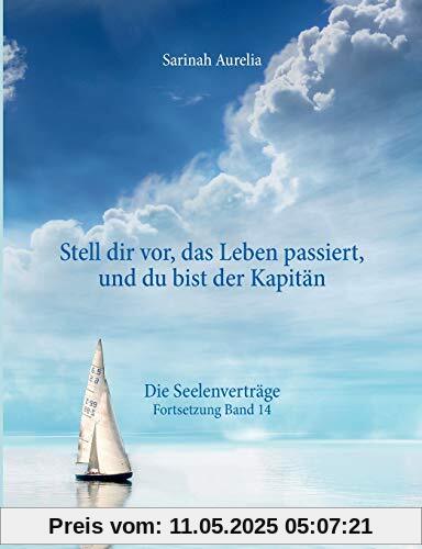 Stell dir vor, das Leben passiert, und du bist der Kapitän: Die Seelenverträge Fortsetzung Band 14