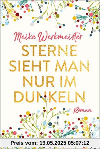 Sterne sieht man nur im Dunkeln: Roman