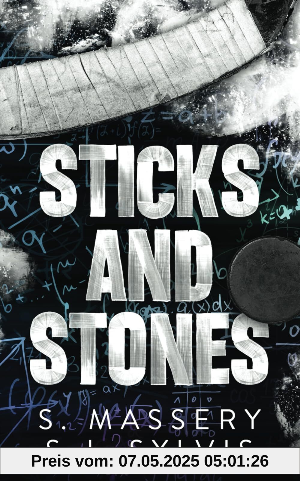 Sticks and Stones (Shadow Valley U, Band 1)
