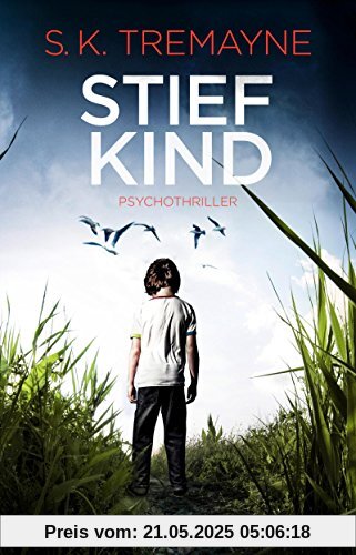 Stiefkind: Psychothriller