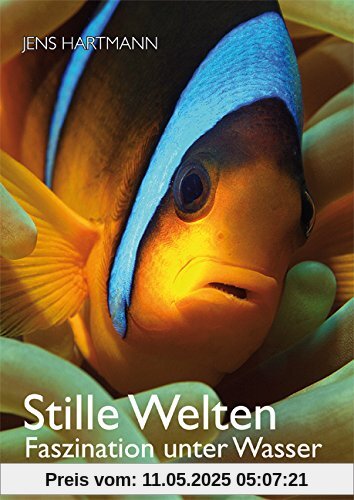 Stille Welten: Faszination unter Wasser