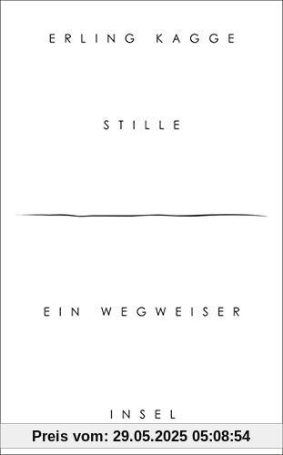 Stille: Ein Wegweiser (insel taschenbuch)