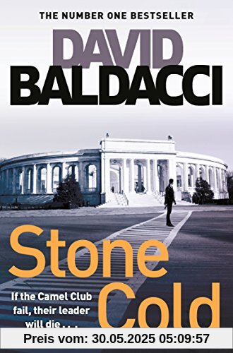 Stone Cold (The Camel Club, Band 3)