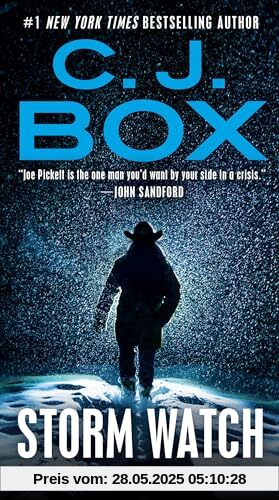 Storm Watch (A Joe Pickett Novel, Band 23)