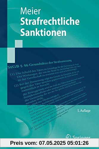 Strafrechtliche Sanktionen (Springer-Lehrbuch)