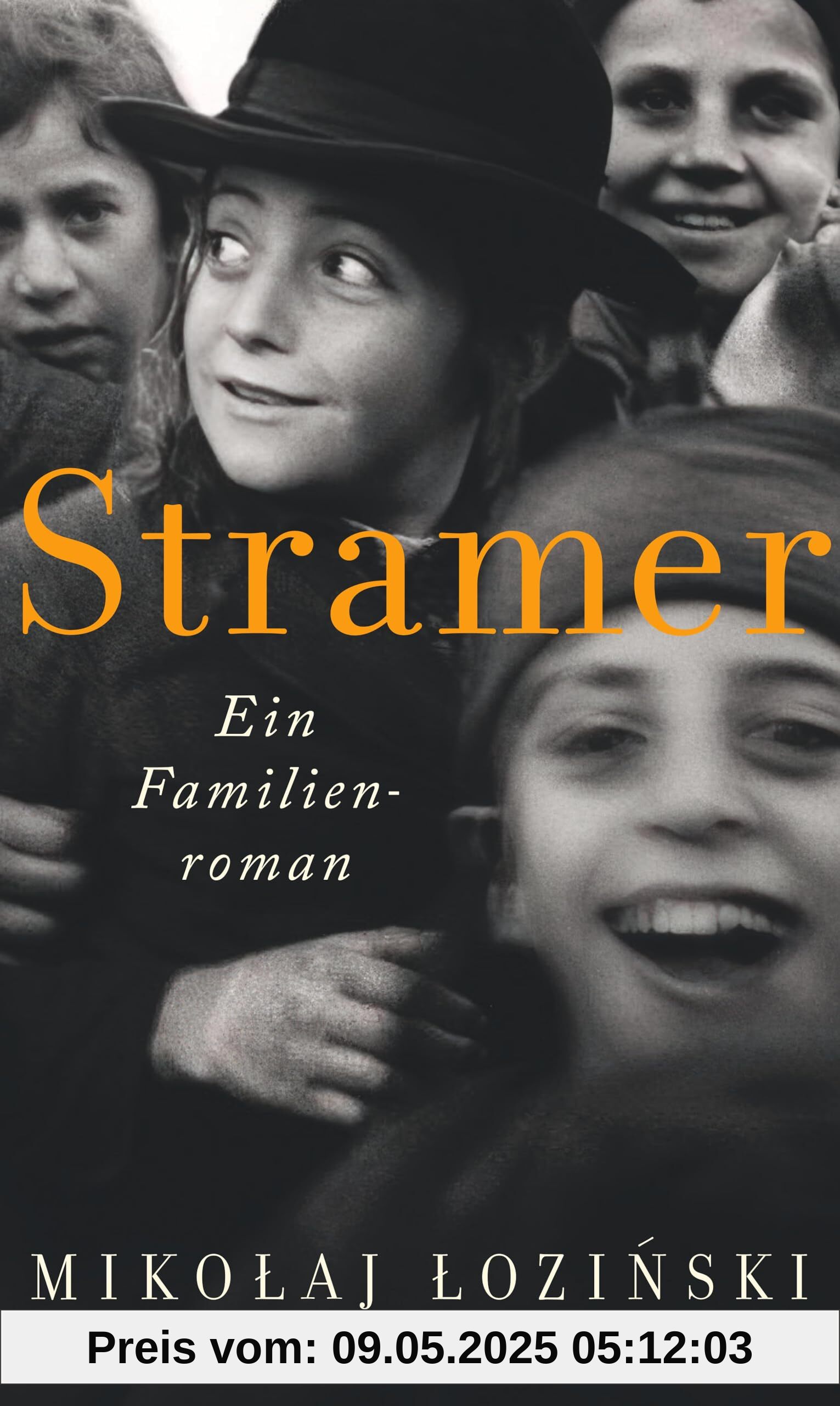 Stramer: Ein Familienroman