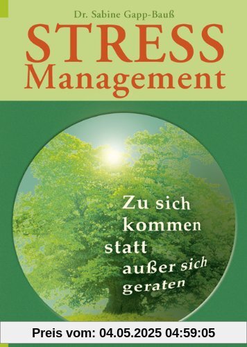 Stress-Management: Zu sich kommen statt außer sich geraten