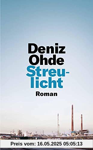 Streulicht: Roman (suhrkamp taschenbuch)