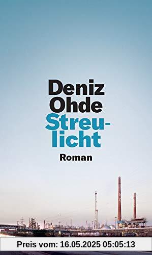 Streulicht: Roman