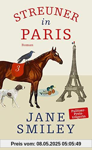 Streuner in Paris: Roman