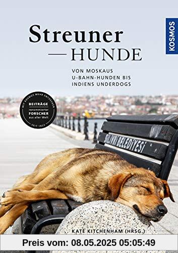 Streunerhunde: Von Moskaus U-Bahn-Hunden bis Indiens Underdogs