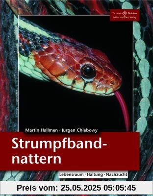 Strumpfbandnattern