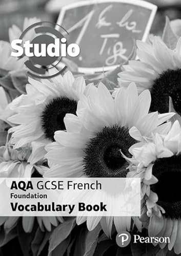 Studio AQA GCSE French Foundation Vocabulary Book (pack of 8) von Pearson Education Limited